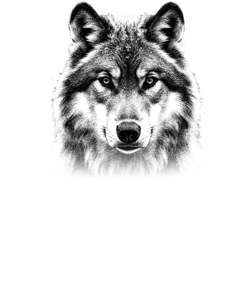 Black and white portrait of a wolf with an intense, direct stare 